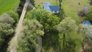 Photo of trees and a farmhouse